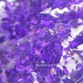 Builder Gel Flower Fairy №5 Crystal Professional HEMA & TPO FREE 15ml